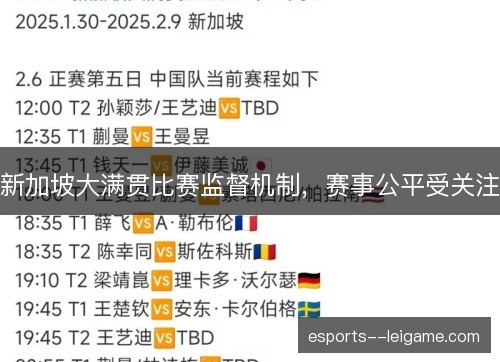新加坡大满贯比赛监督机制，赛事公平受关注